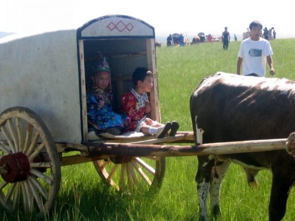 100145g9az7qm8gmaz7x7e